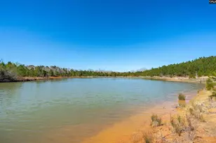 1459 Freshly Mill Rd, Irmo, SC 29063 - Photo 1