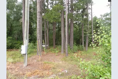 4610 Platt Springs Road, West Columbia, SC 29170 - Photo 1