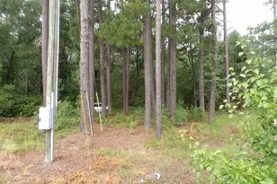 4610 Platt Springs Rd, West Columbia, SC 29170 - Photo 1