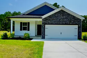 1420 Chestnut Rd, Elgin, SC 29045 - Photo 1