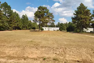 1061 Bub Shumpert Rd, Pelion, SC 29123 - Photo 1