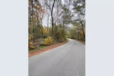 1031 Pineland Drive, Columbia, SC 29203 - Photo 1