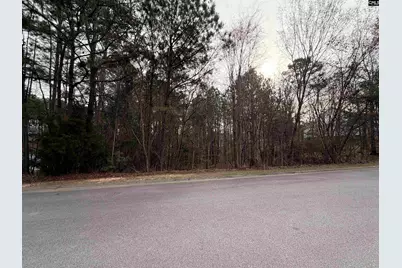 1334 Camping Road, Gilbert, SC 29054 - Photo 1