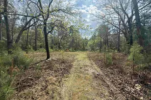 129 Treemount Ln, Gaston, SC 29053 - Photo 1