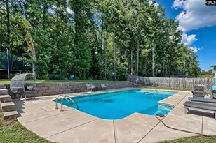 329 Dolly Horn Ln, Chapin, SC 29036 - Photo 1
