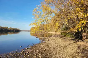 73 Acres County Road O, Portage, WI 53901 - Photo 1