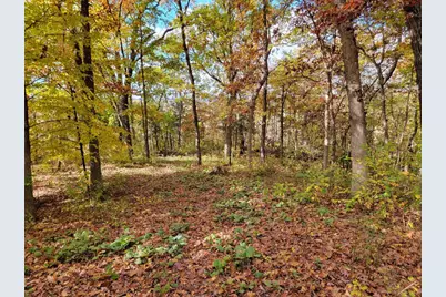 L9 St Lawrence Bluff Road, Poynette, WI 53955 - Photo 1