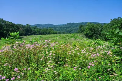 165+/- Acres Miess Road, Ridgeville, WI 53533 - Photo 1