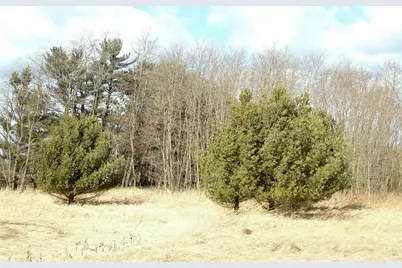 W7530 38th Street, New Lisbon, WI 53950 - Photo 1