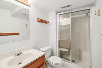 17 Holt Place, Madison, WI 53719 - Photo 49