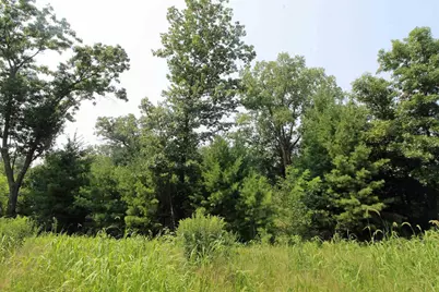 Lot19 Timber Trail, Spring Green, WI 53588 - Photo 1