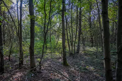 Lot 4 20th Street, Necedah, WI 54646 - Photo 1