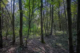 Lot 4 20th St, Necedah, WI 54646 - Photo 1