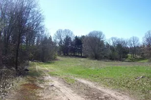 Hwy 73, Wautoma, WI 54982 - Photo 1