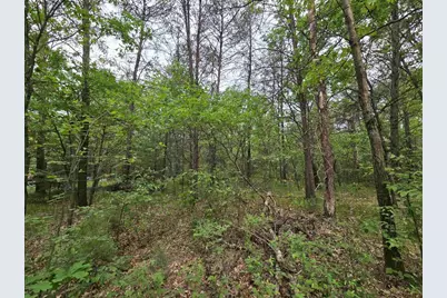 Lot 1 16th Avenue, Necedah, WI 54646 - Photo 1