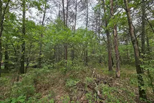 Lot 1 16th Ave, Necedah, WI 54646 - Photo 1