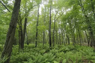 Lot 1 Csm 2309 Deer Run, Montello, WI 53949 - Photo 1