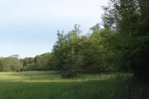 Part Lot 2 Csm County Road K, Montello, WI 53949 - Photo 1