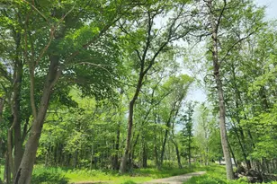 2284 15th Dr, Adams, WI 53934 - Photo 1