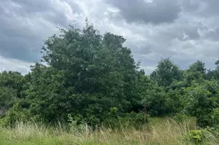 L49 S Chicago Ct, Friendship, WI 53934 - Photo 1