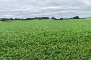 L1 County Road J, Green Lake, WI 54941 - Photo 1