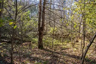 Lot 1 55th St, Mauston, WI 53948 - Photo 1