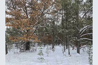 Parcel 12 17th Avenue, Necedah, WI 54646 - Photo 1