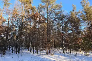 Lot 1 25th St, Necedah, WI 54646 - Photo 1