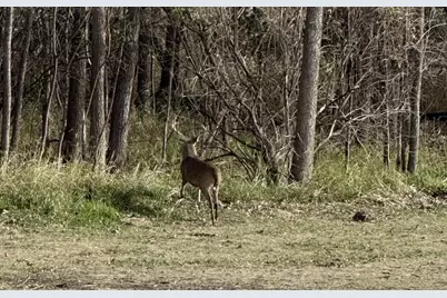 40 Ac County Road U, Portage, WI 53901 - Photo 1