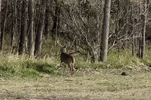 40 Ac County Road U, Portage, WI 53901 - Photo 1