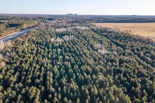 Lot 2 11th Dr, Friendship, WI 53934 - Photo 1