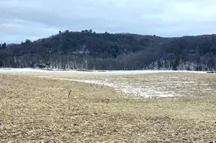 137 Acres Morrissey Rd, Mauston, WI 53948 - Photo 1