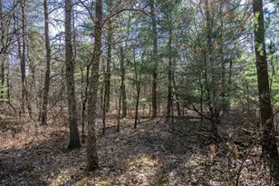 Lot 3 Morros Mile Rd, Necedah, WI 54646 - Photo 1