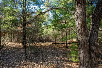Lot 4 Morros Mile Road, Necedah, WI 54646 - Photo 1