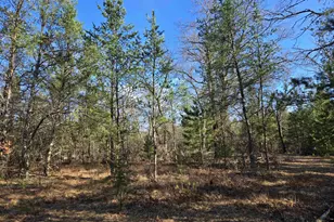 1 937 Acres Johnsburg Rd, Necedah, WI 54646 - Photo 1