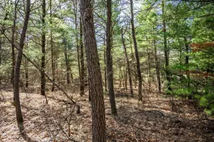 Lot 2 19th Ave, Necedah, WI 54646 - Photo 1