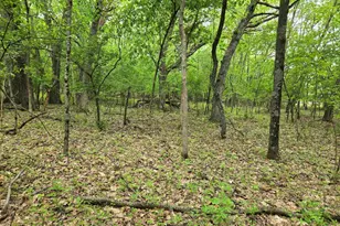Lot Oxbow Trail, Princeton, WI 54968 - Photo 1