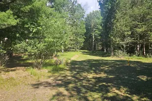 Lot 1 Woodland Ave, Montello, WI 53949 - Photo 1