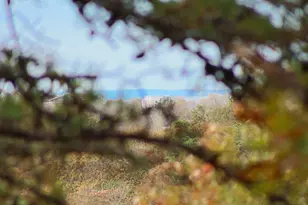 110 Prince Valley Rd, Truro, MA 02666 - Photo 23