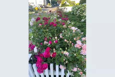 54 Commercial Street #3,4,5,6, Provincetown, MA 02657 - Photo 3