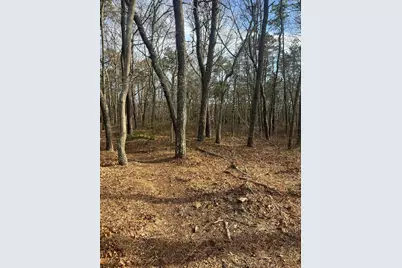 37 Cyprus Road, Dennis, MA 02660 - Photo 1