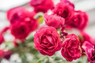 645 S Orleans Rd, Orleans, MA 02653 - Photo 45