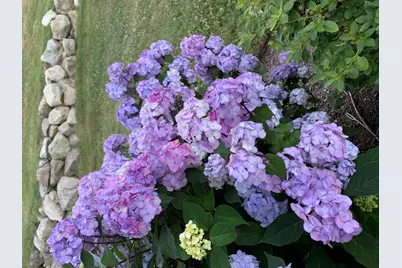 24 Highland Terrace #2415, Plymouth, MA 02360 - Photo 41