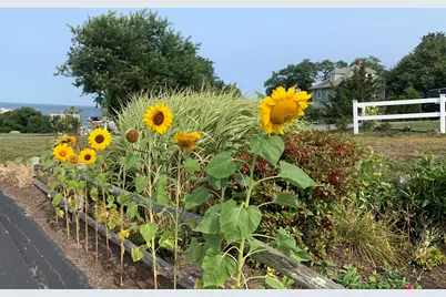 24 Highland Terrace #2415, Plymouth, MA 02360 - Photo 39