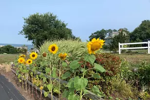 24 Highland Terrace, Plymouth, MA 02360 - Photo 39