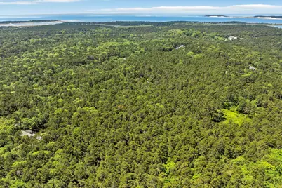 175 Delphi Path, Wellfleet, MA 02667 - Photo 3