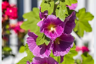 99 Route 130, Sandwich, MA 02644 - Photo 45