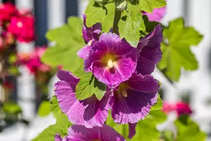 99 Route 130, Sandwich, MA 02644 - Photo 45