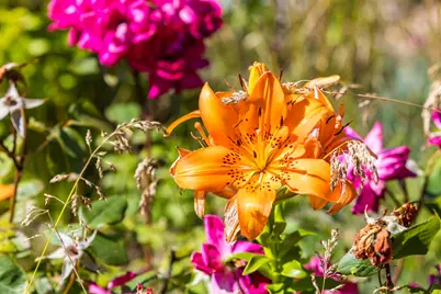 99 Route 130, Sandwich, MA 02644 - Photo 49