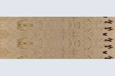 127 Wapoos Trail, Chatham, MA 02633 - Photo 11